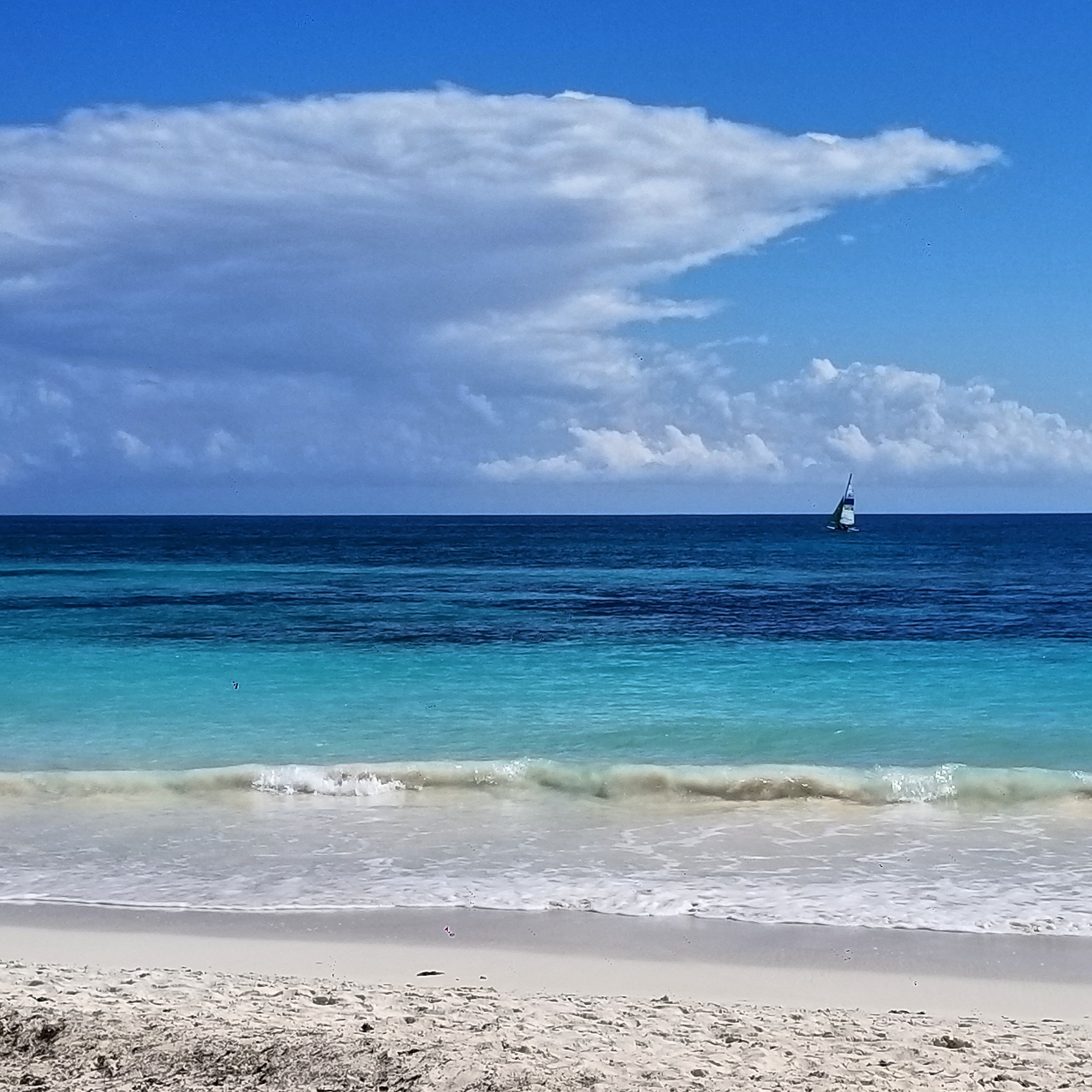 Cover Image for Mind, Body, and Soul